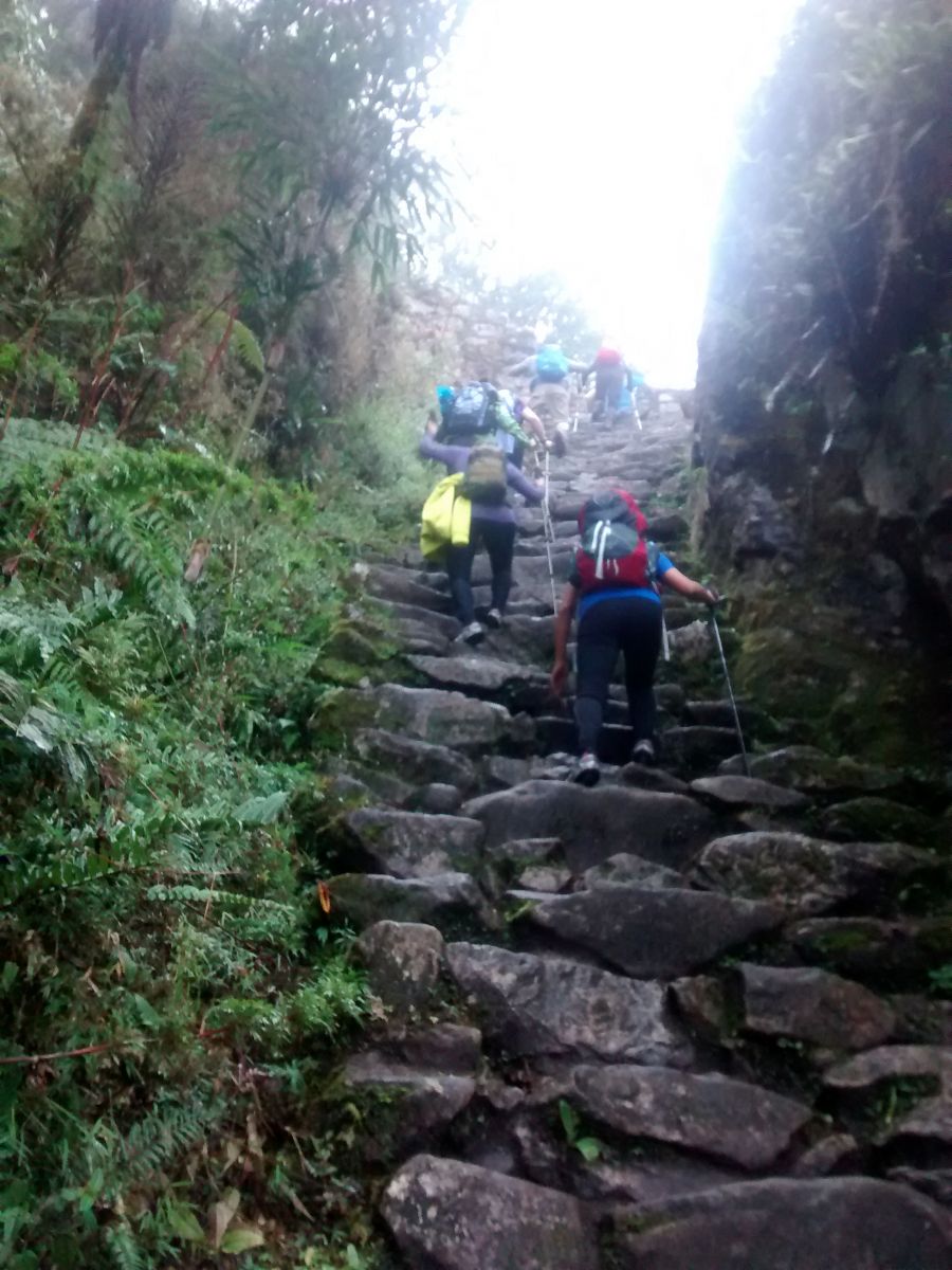 inca trail to machu picchu - machupicchu trekking peru tours