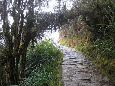 inca trail to machu picchu - machupicchu trekking