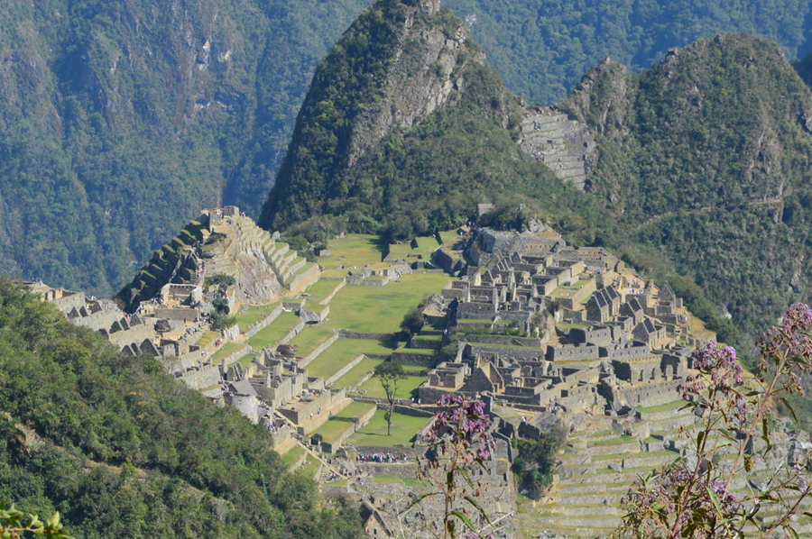 machu picchu by train full day with machu picchu trekking